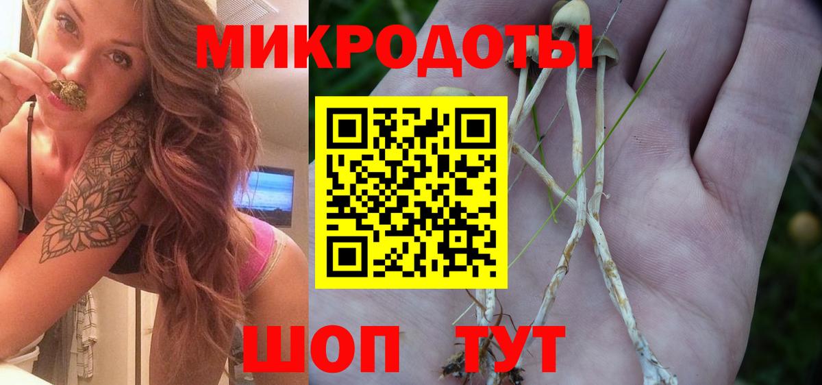 Канабис Дмитров